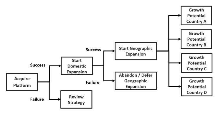 An expansive set of real options for a platform of businesses